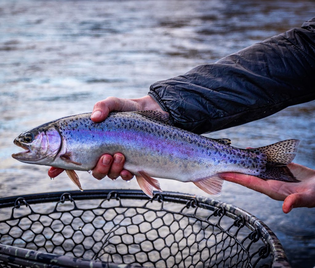 Wenatchee Fly Company And Guide Service