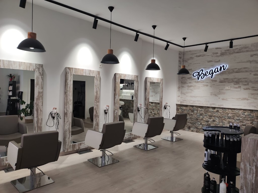Began Peluqueria — Interior