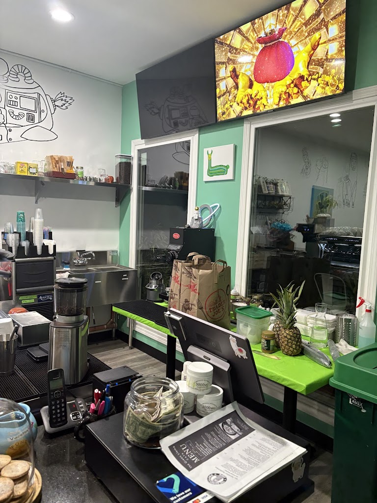 Photo of Green Llama Cafe