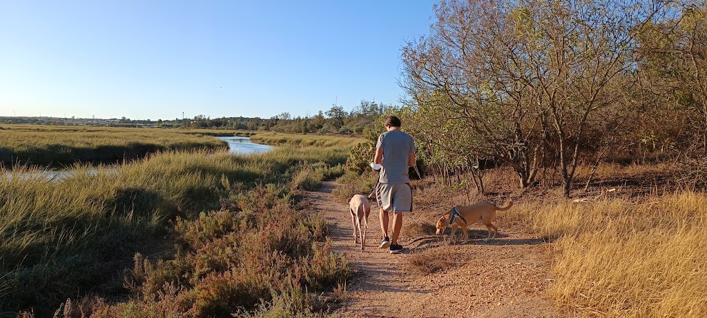 Antigua discoteca las vegas