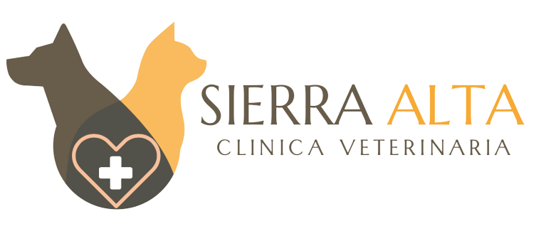 Perro