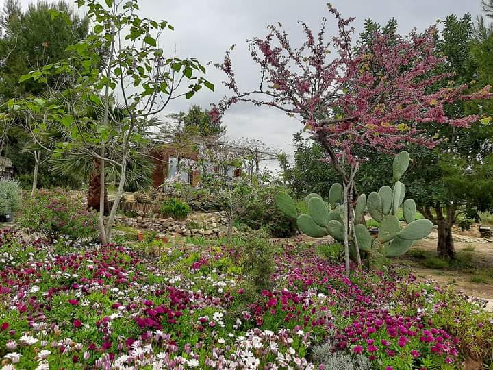 DULUTH, Minnesota del Turia