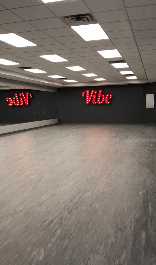  The Vibe Dance and Fitness