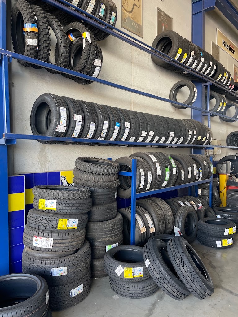Michelin Neumaticos Aguilas — Interior