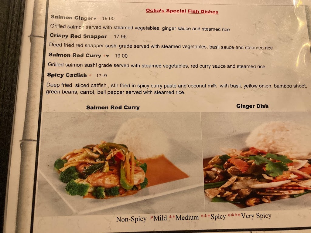 Ocha Thai & Asian Fusion