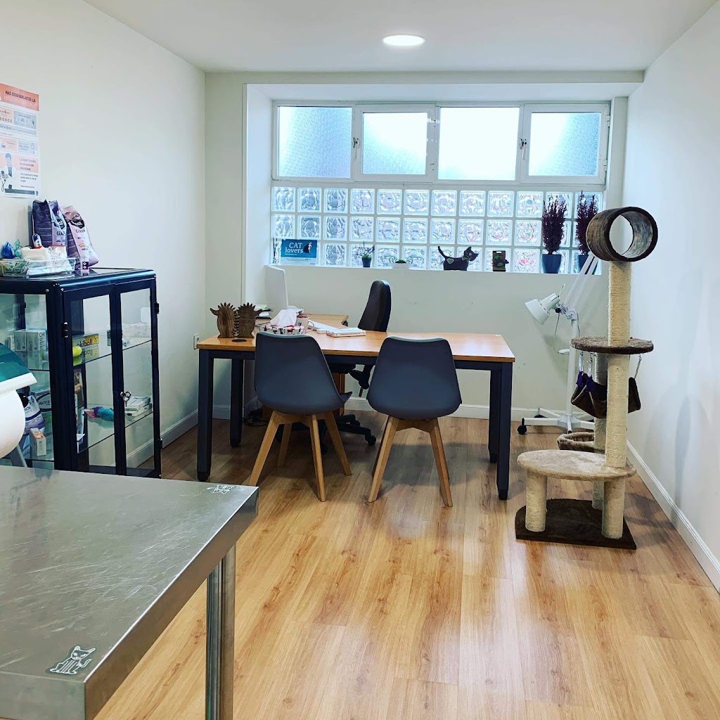 Animals Cantabria-Hospital Veterinario 24 Horas — Del propietario