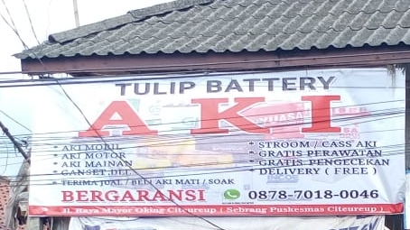 TULIP BATTERY