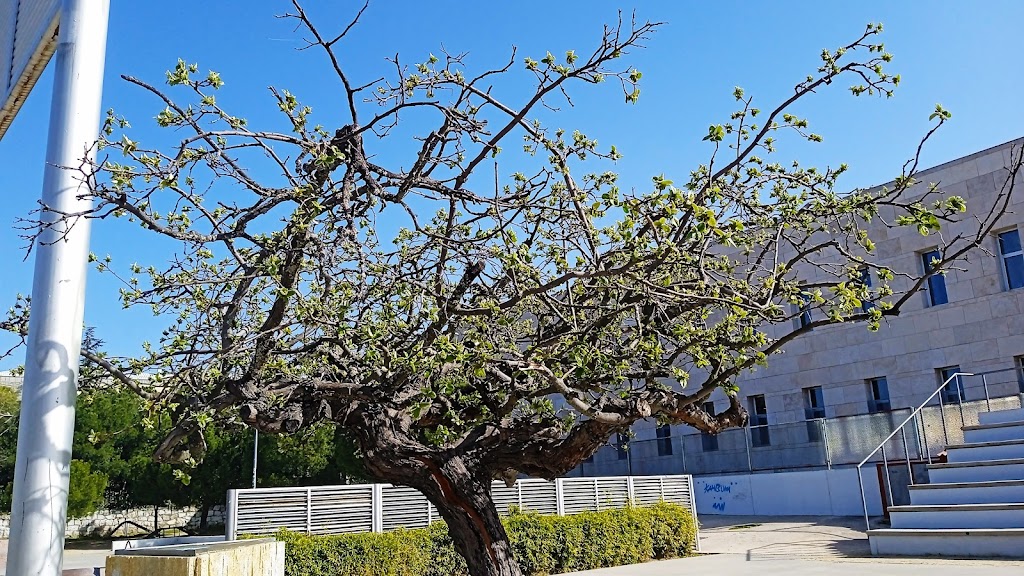 Parque El Mirador