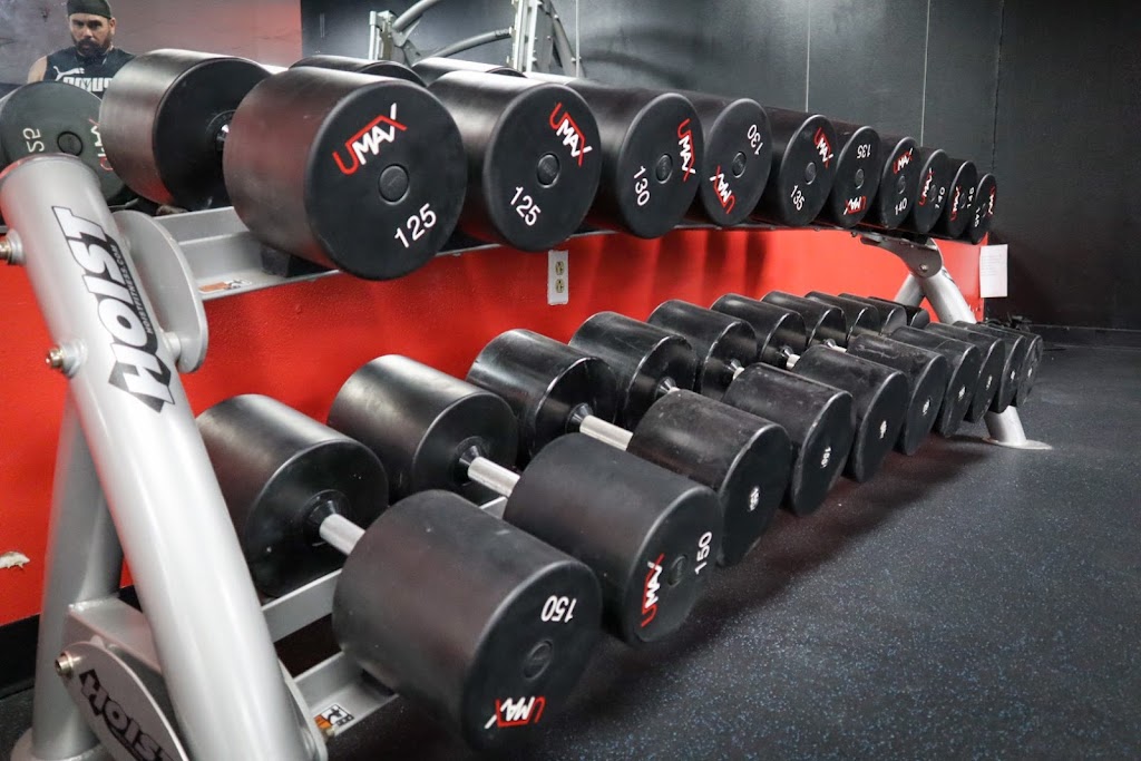  Body Evolution South