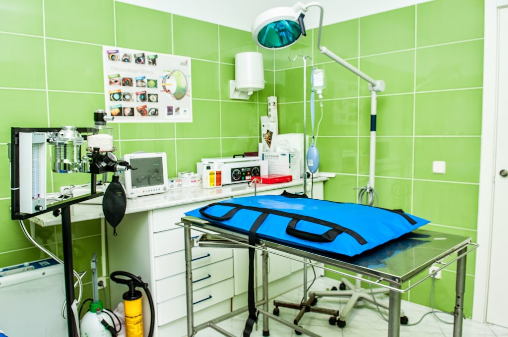 Centro Veterinario San Gregorio — Del propietario