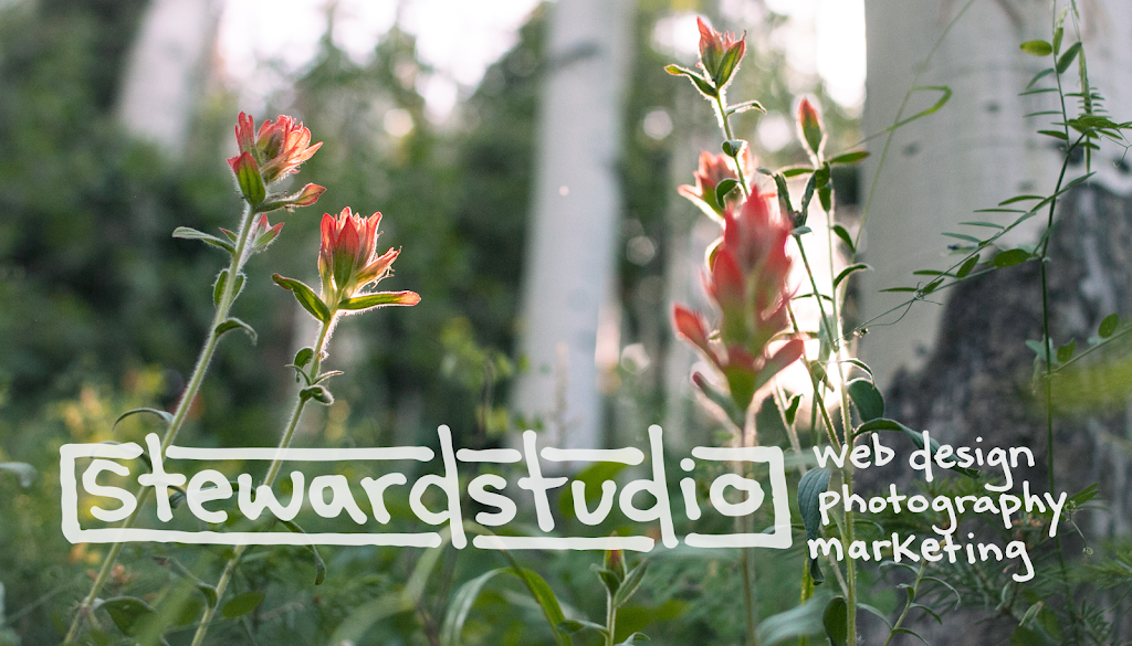 Stewardstudio