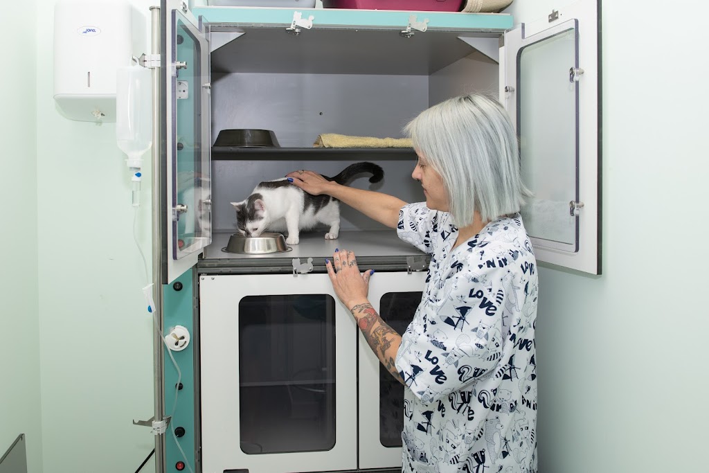 Centro Veterinario API