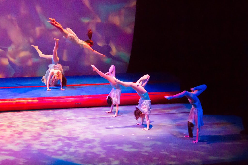  Roots Gymnastics & Dance