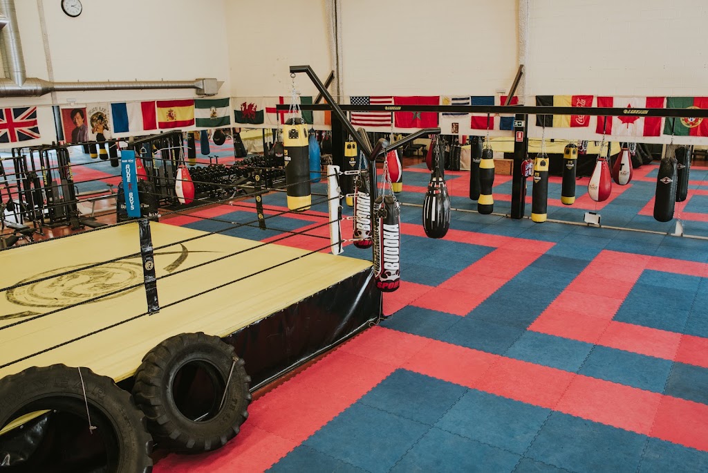 El Klub de la lucha — Gimnasio