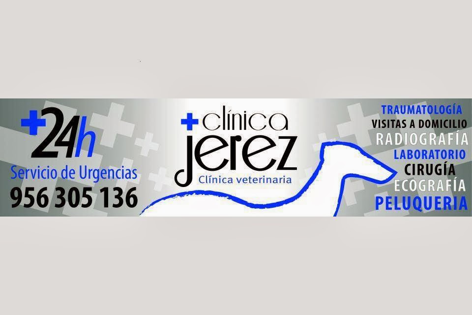 Clinica Veterinaria Jerez — Del propietario