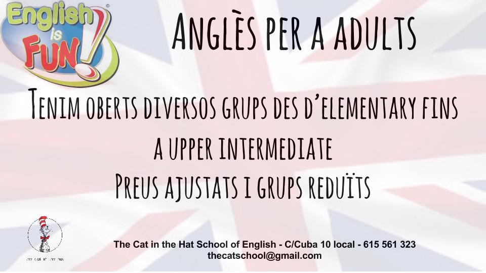 Escola d'angles The Cat In The Hat School Of English preparador d'examens de Cambridge — Del propietario