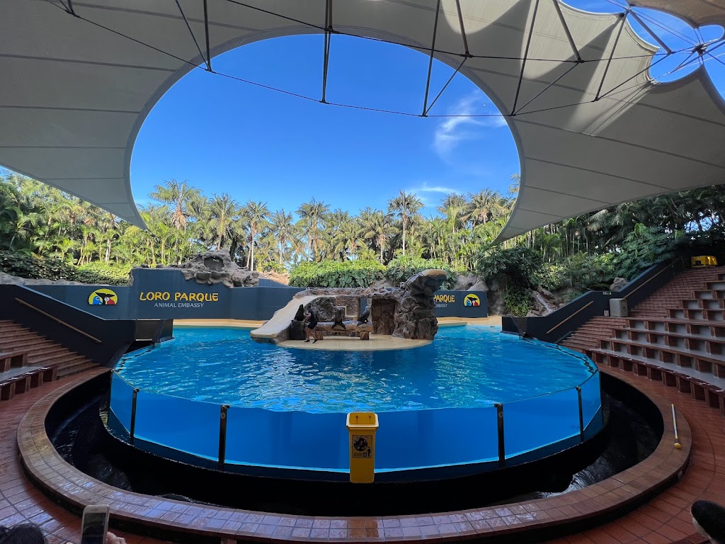 Leones Marinos Loro Parque