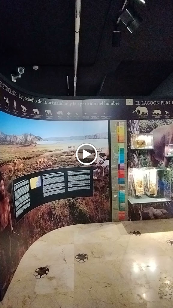 Museo Arqueologico de Guardamar del Segura — Videos