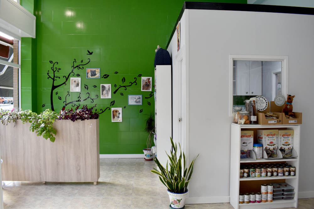 Clinica Veterinaria PRESUMIDOGS — Del propietario