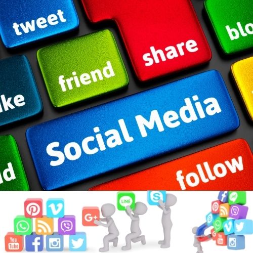Seo Services Professionals Llc