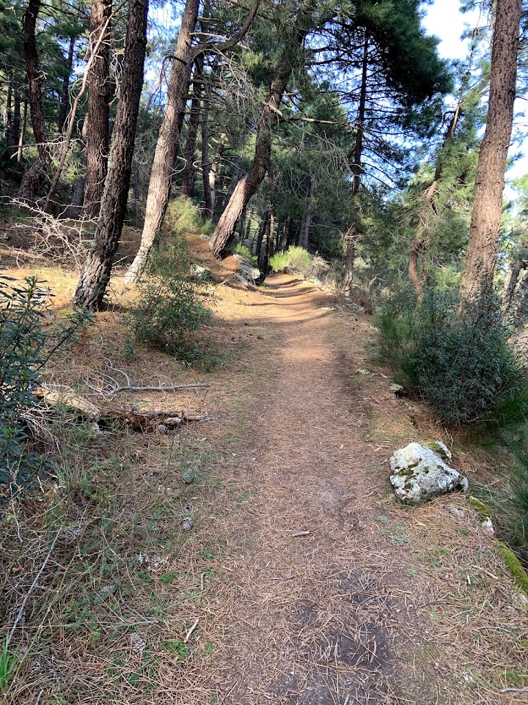 Las Zetas de El Escorial