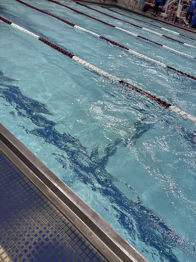 Anthony P Mucciaccio Dedham Pool in Dedham