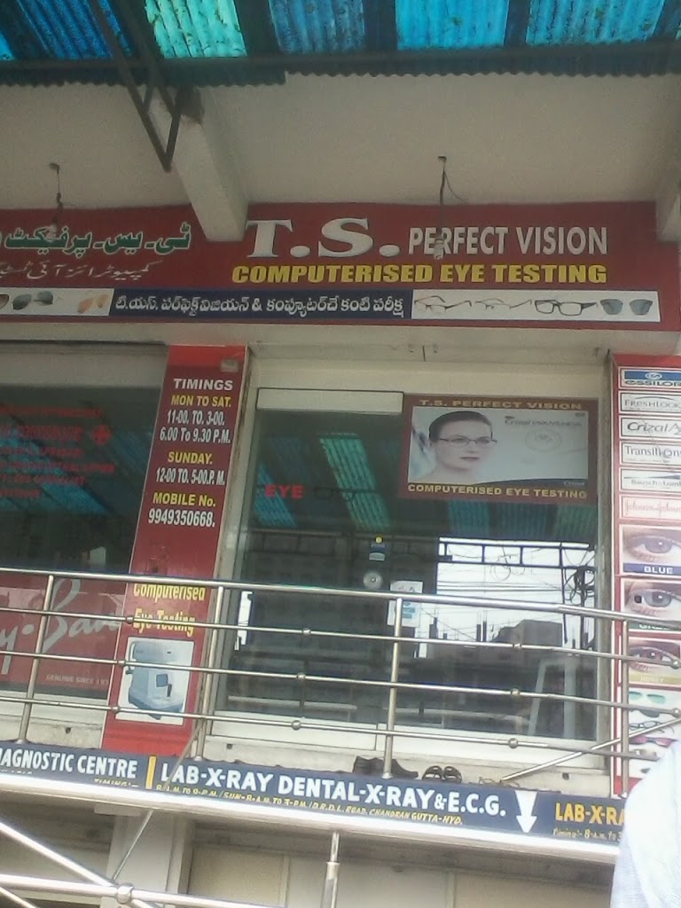 Ts Perfect Vision
