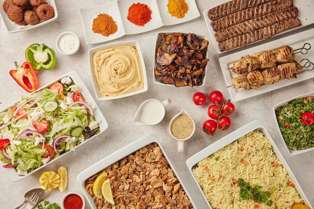 Pita Lite Shawarma