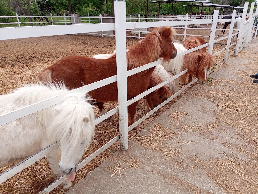 Granja Cerro Tablado