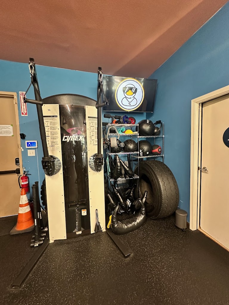  Chain Reaction Fitness & Nutrition