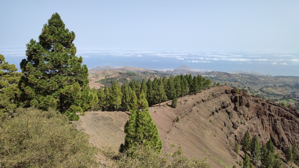 Mirador de Pinos de Galdar