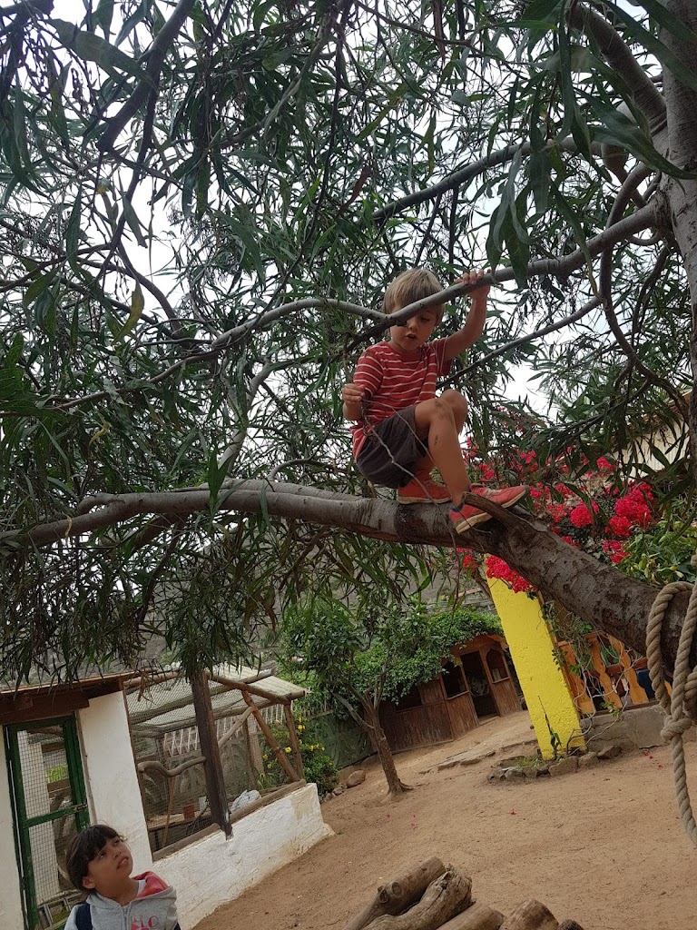 Escuela "Libre" La Casa del Sol (Infantil y Primaria Pedagogia Waldorf)