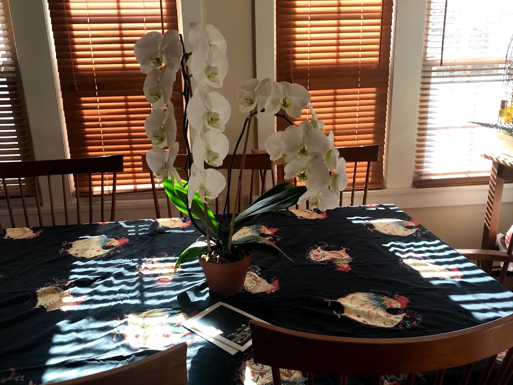 Port Jefferson Florist