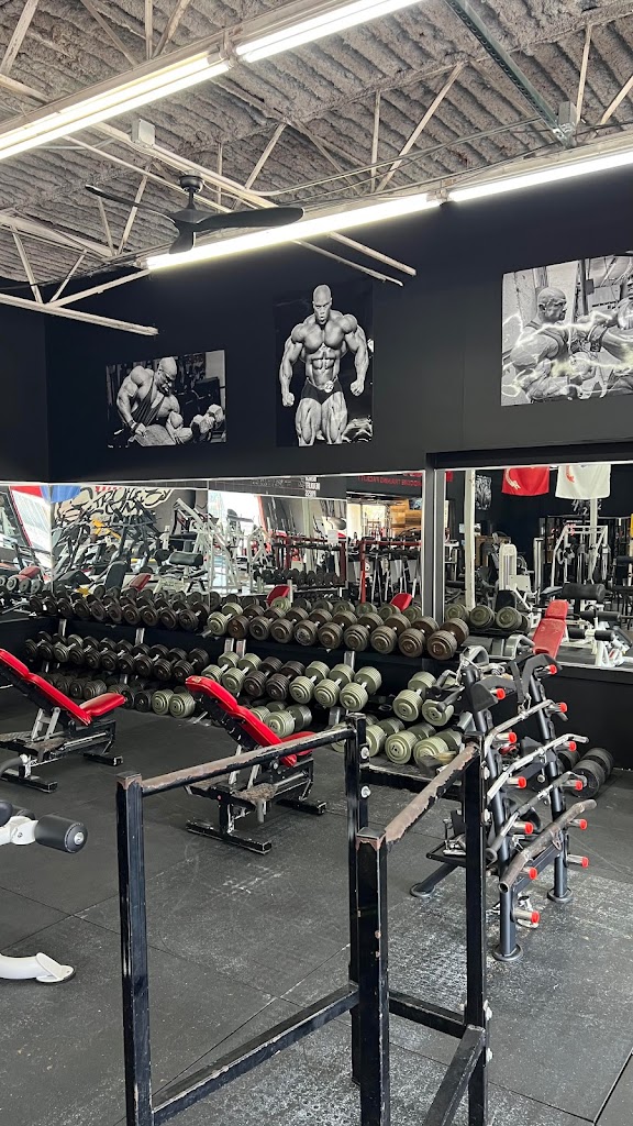  Metroflex Gym - Plano