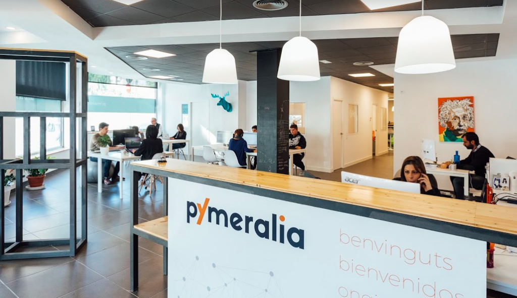 Pymeralia: [Consultoria Digital, Marketing Digital, Ciberseguridad, Formacion y Subvenciones]