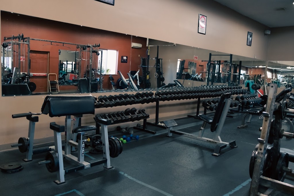  Bloom Health & Fitness