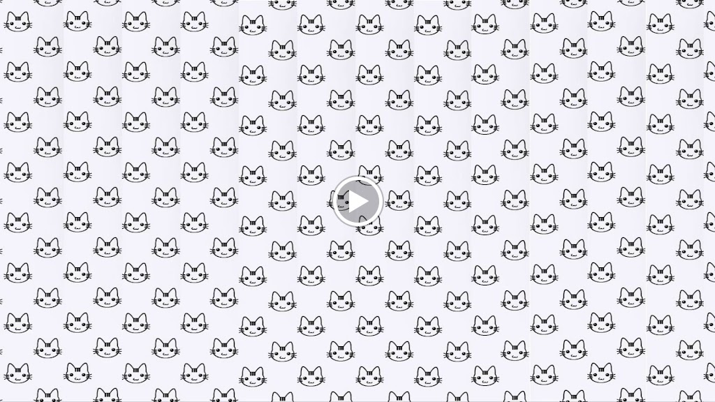 Medivet Santa Teresa — Videos