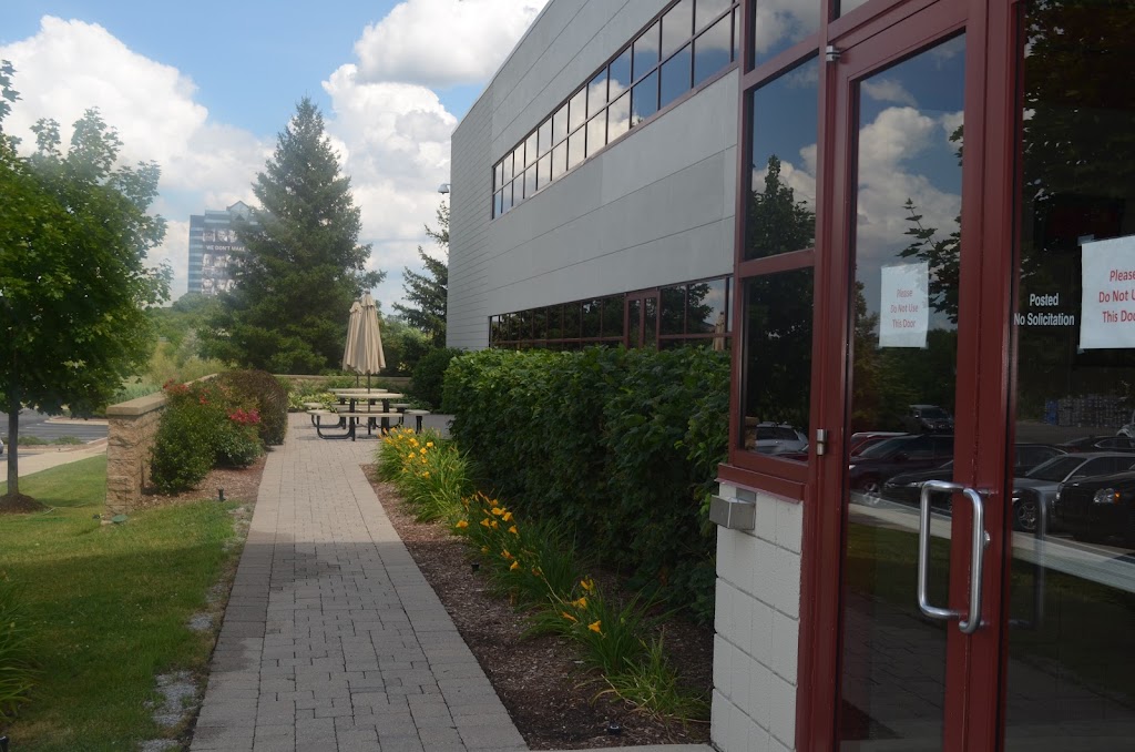 Quantum Services Group Qsg Detroit It Support Phone Web Marketing