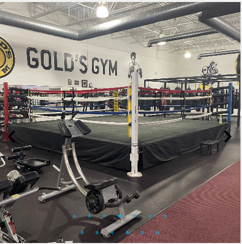  Gold's Gym Detroit