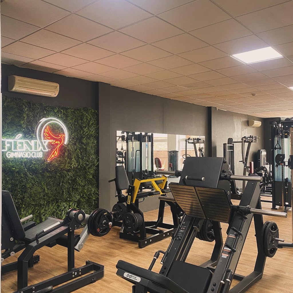 Fenix Gimnasio Club