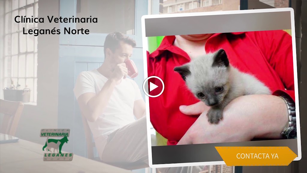 Clinica Veterinaria Leganes Norte — Del propietario