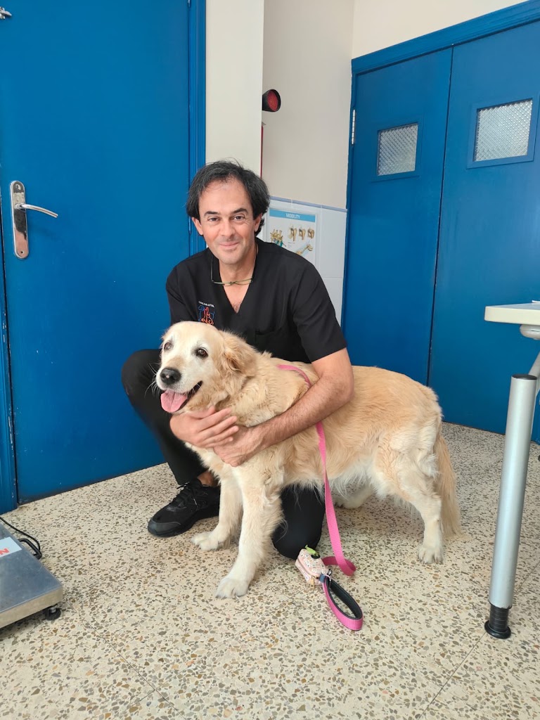CLINICA VETERINARIA LA VILETA — Perro