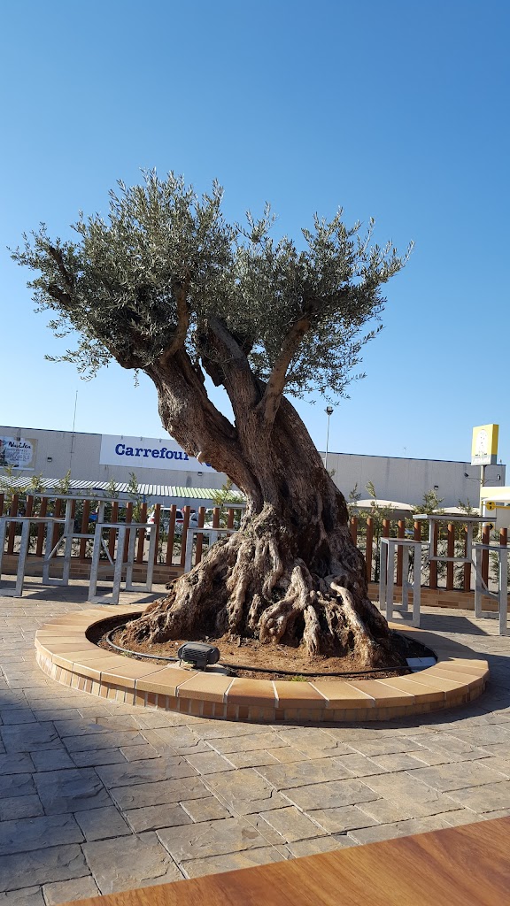 Gasolinera Carrefour