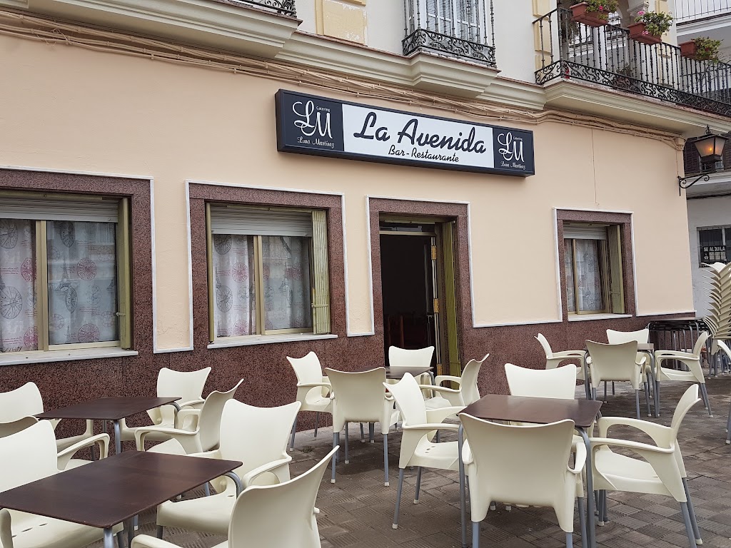 Bar Avenida Pizzeria — Ambiente