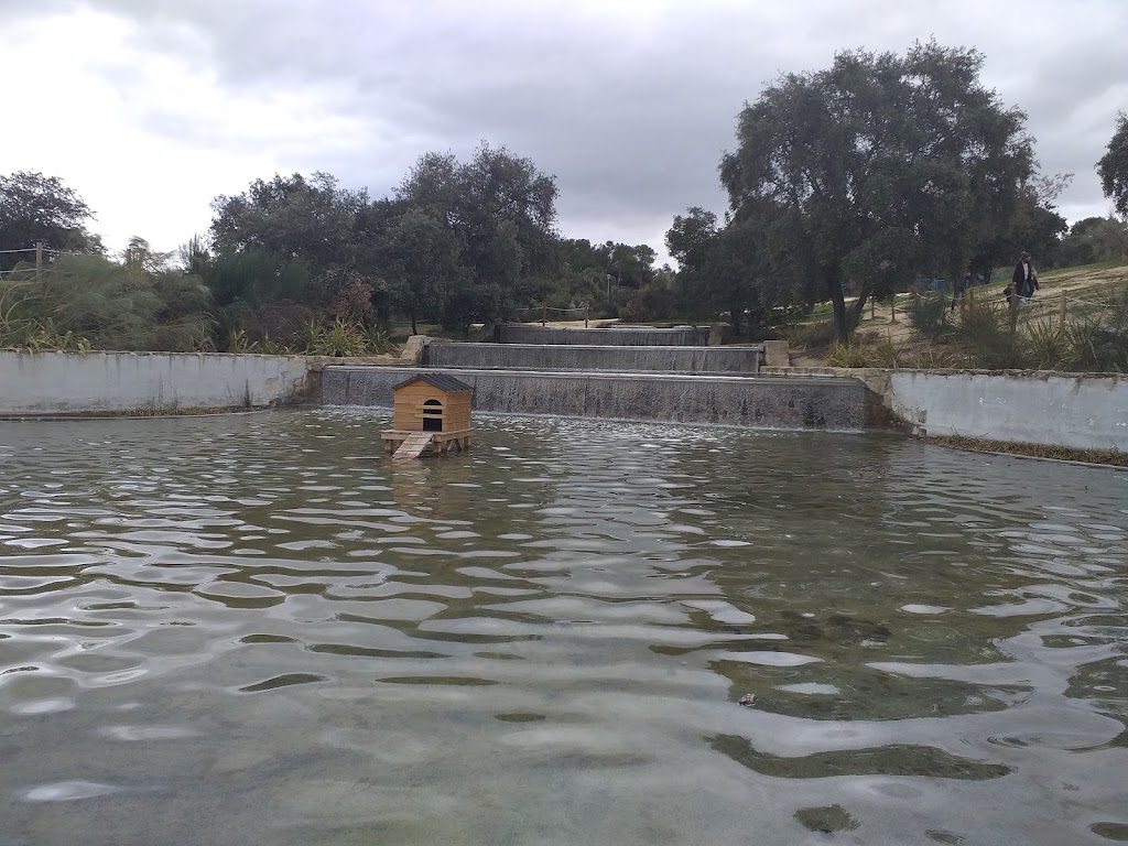 Gran Parque Felipe VI