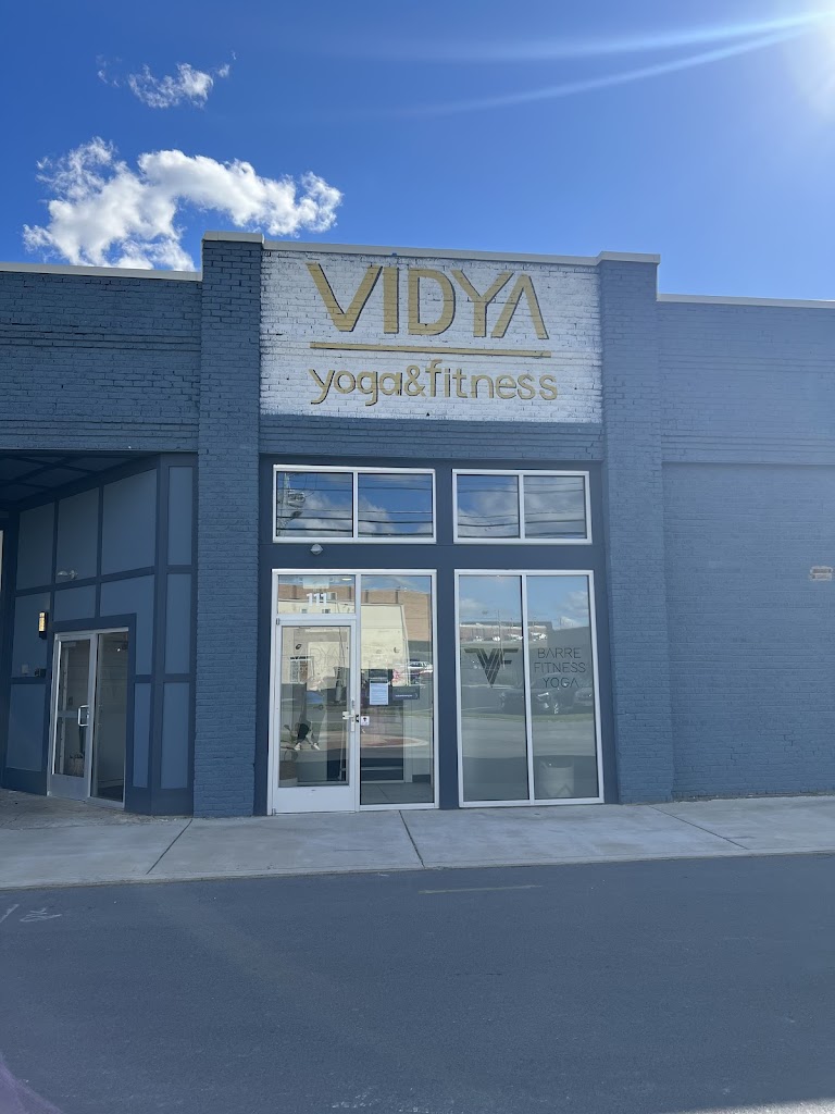  Vidya Yoga and Fitness Johnson City