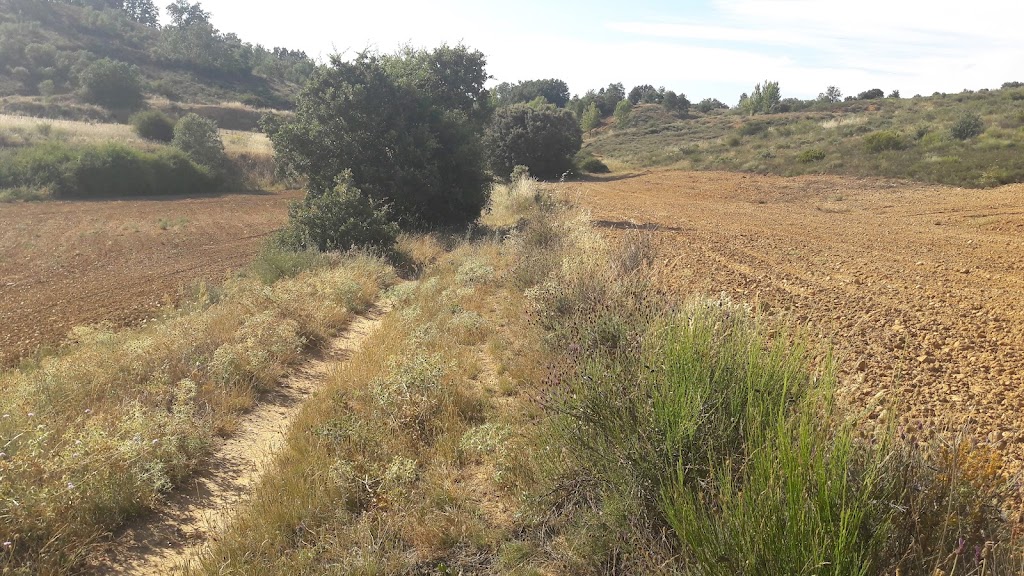 Camino La Vallina