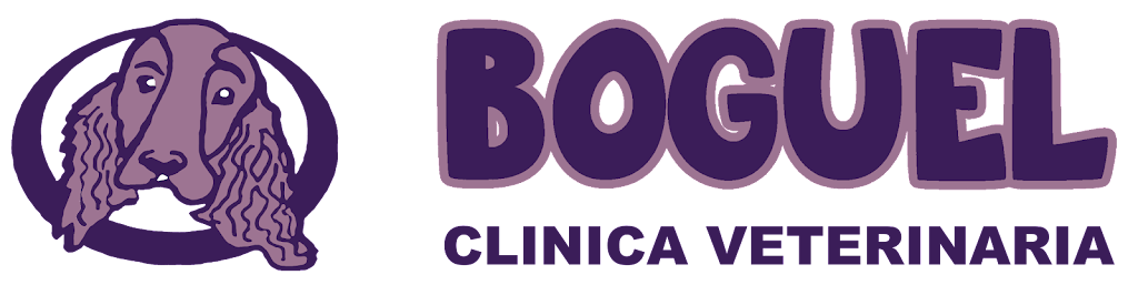 Clinica Veterinaria Boguel — Del propietario