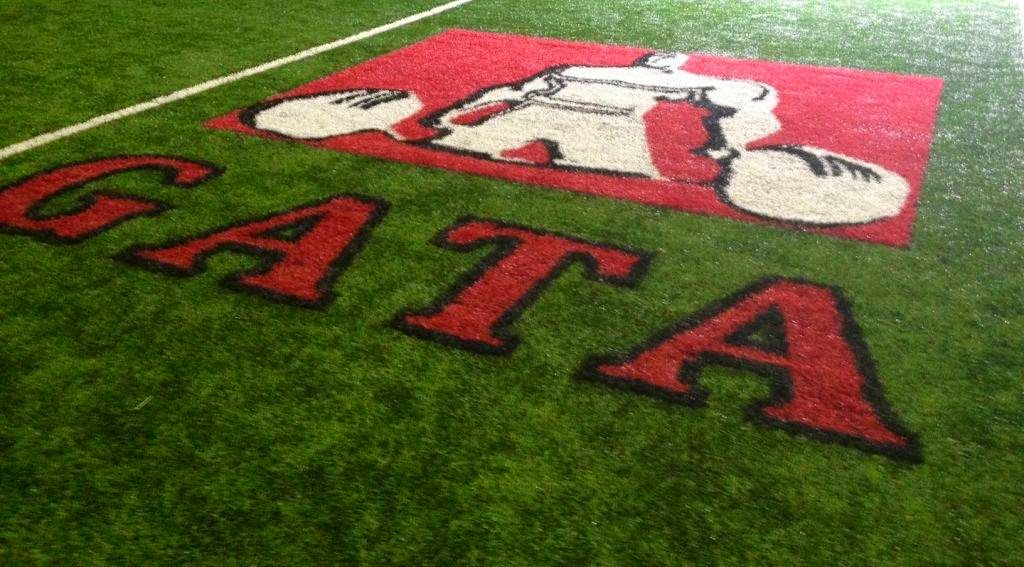  G.A.T.A - Goldin Athletic Training Association
