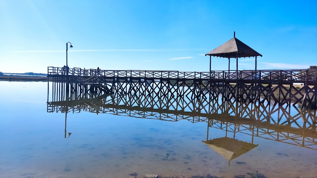 Area recreativa La Ribera